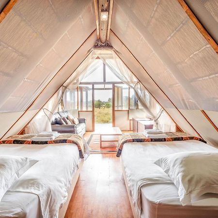 Buffelshoek Tented Camp Riserva di Caccia Manyeleti Esterno foto