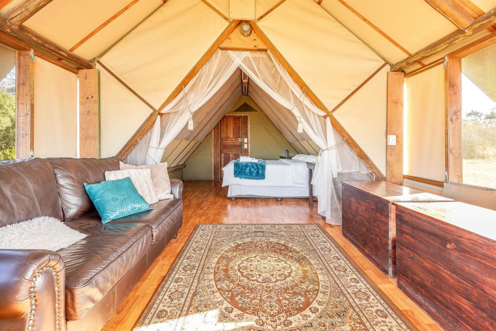 Buffelshoek Tented Camp Riserva di Caccia Manyeleti Esterno foto