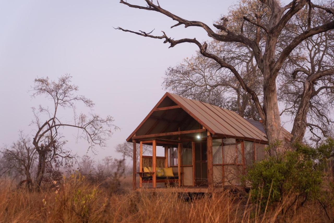Buffelshoek Tented Camp Riserva di Caccia Manyeleti Esterno foto