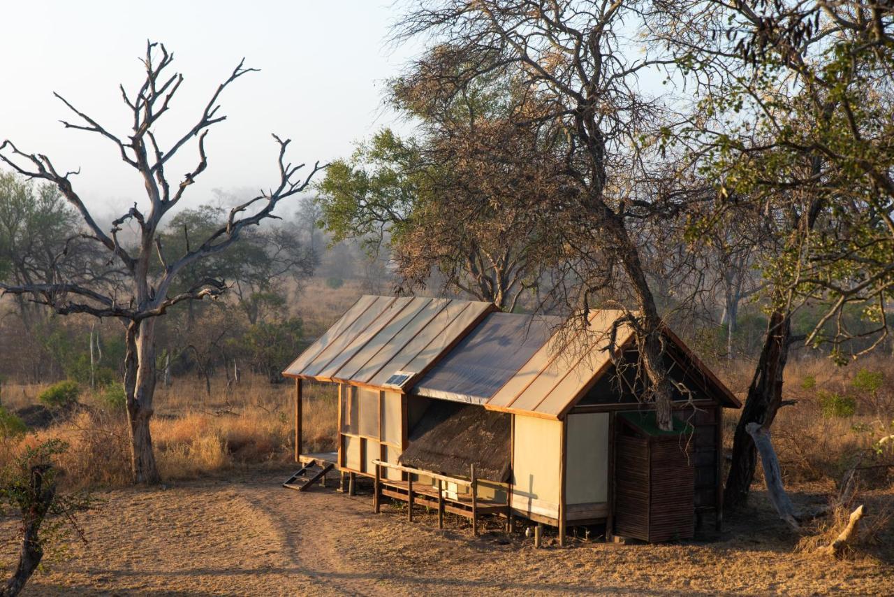 Buffelshoek Tented Camp Riserva di Caccia Manyeleti Esterno foto