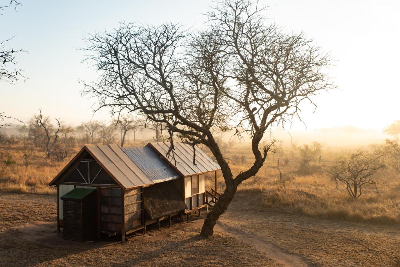 Buffelshoek Tented Camp Riserva di Caccia Manyeleti Esterno foto