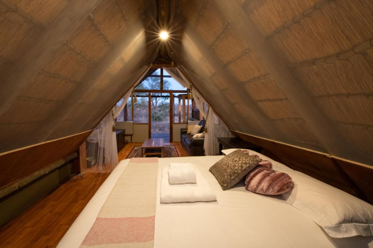 Buffelshoek Tented Camp Riserva di Caccia Manyeleti Esterno foto